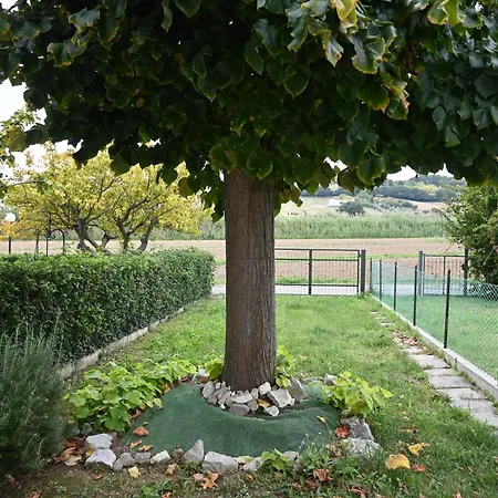 Διαμέρισμα M272 - Marcelli, Trilocale Con Giardino E Posto Auto Marcelli